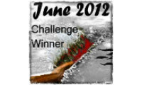 Winner of the June Writing Challenge on The Kelley Armstrong Forum